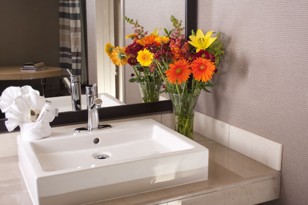 Bathroom, Plaza Hotel & Casino