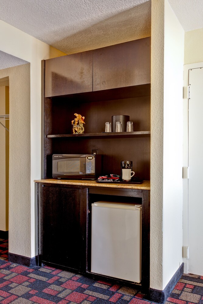 Mini-Refrigerator