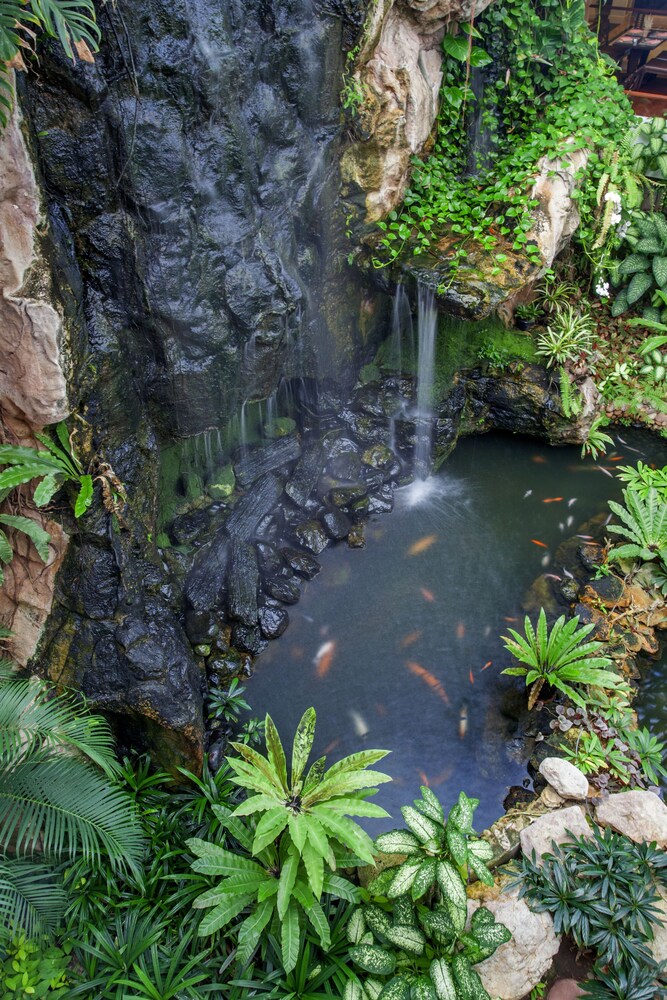 Fountain