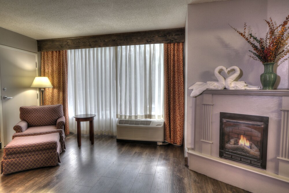 Guestroom View