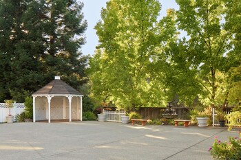 Outdoor Wedding Area