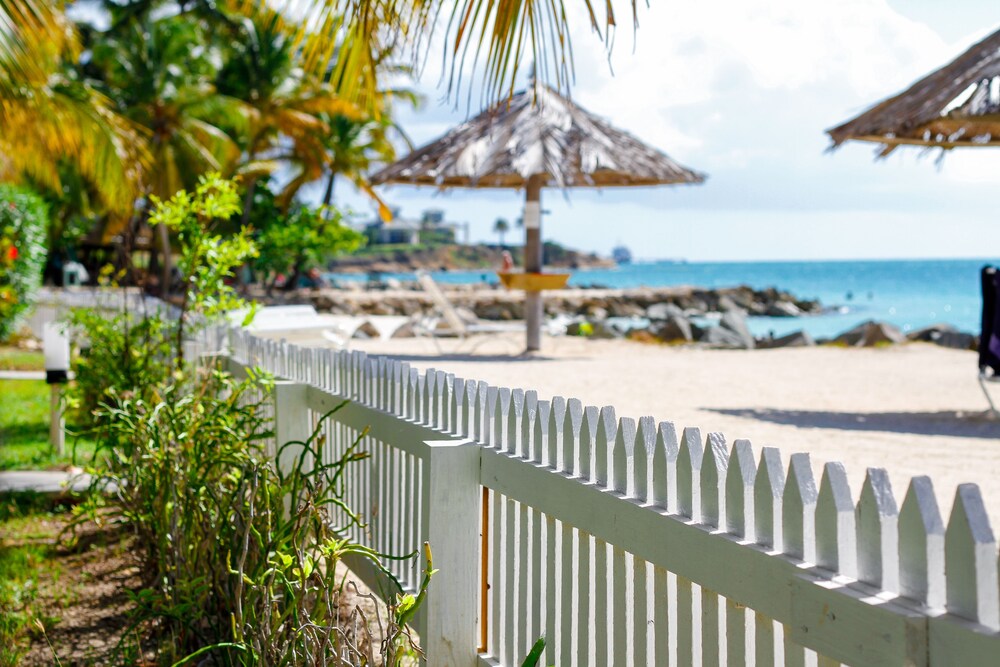 Beach/Ocean View