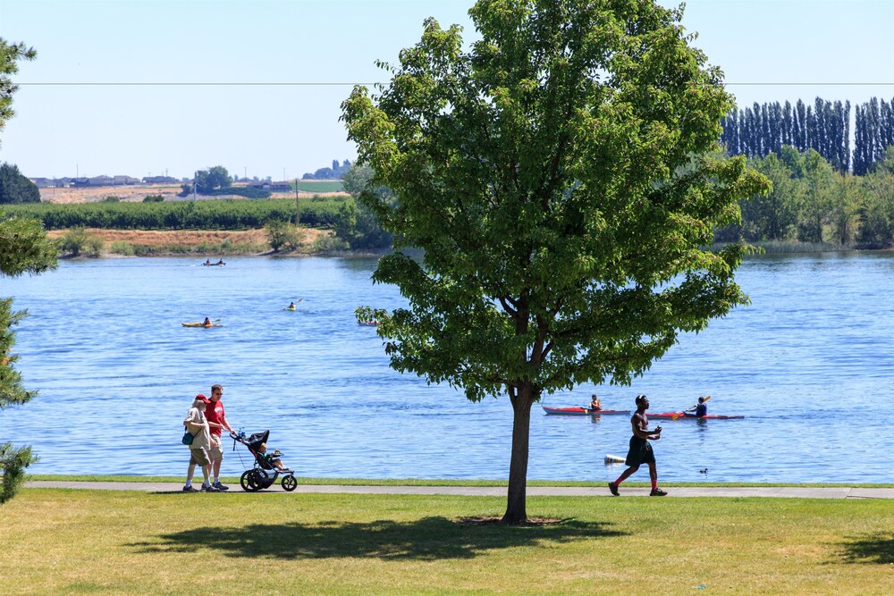 Lake View
