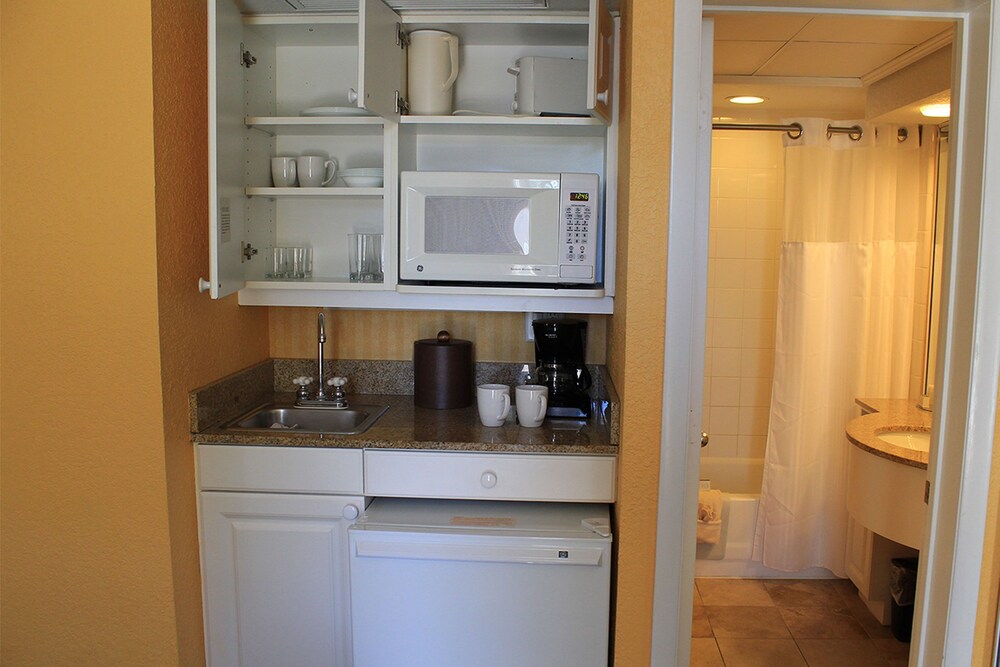 Mini-Refrigerator