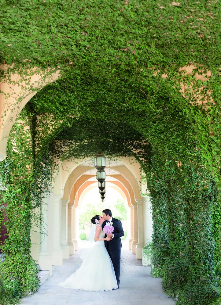 Outdoor Wedding Area