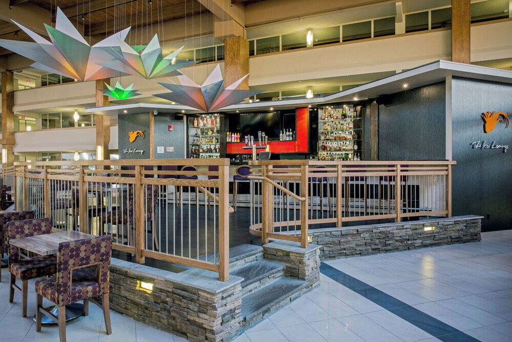 Hotel Bar