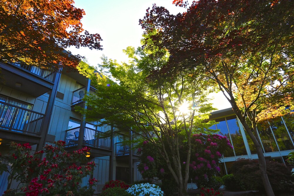 Courtyard View