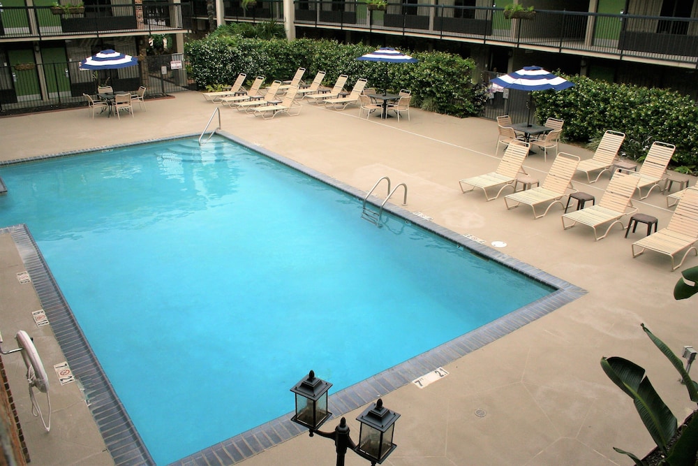 Indoor/Outdoor Pool