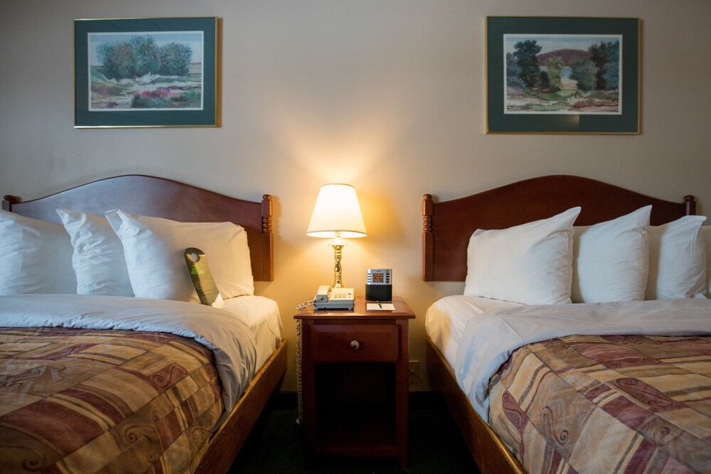 In-Room Amenity