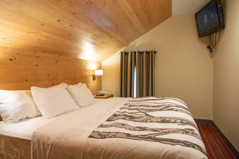 Suite (Two Bedroom Wolf) - Guestroom