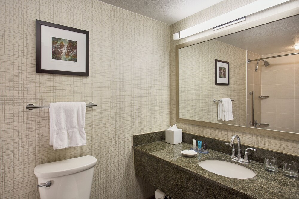 In-Room Amenity