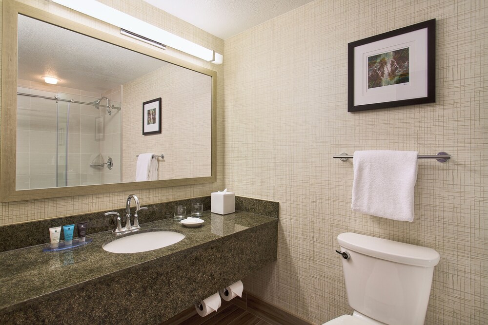 In-Room Amenity