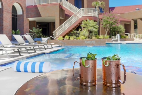 Hyatt Regency Richardson - Dallas