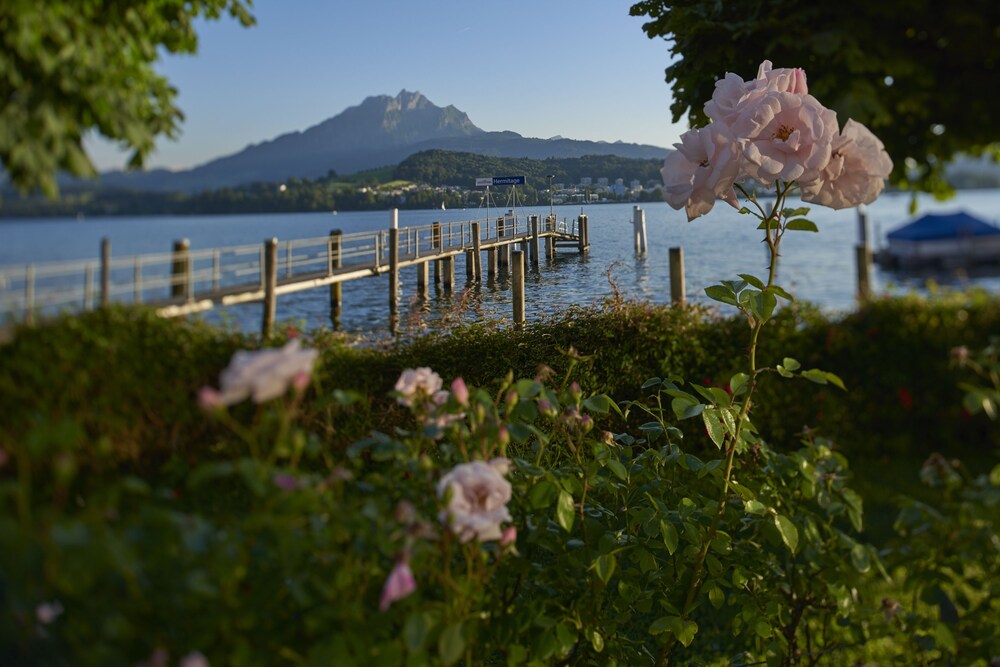 Lake View