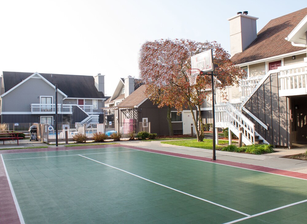 Basketball Court