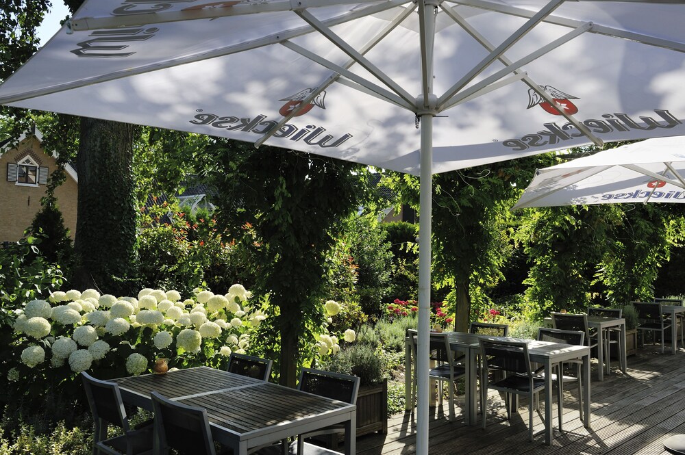 Terras