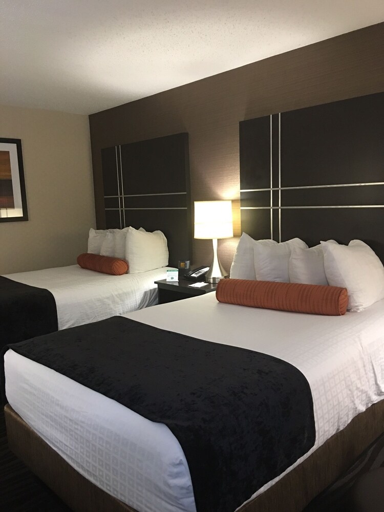 Guestroom View