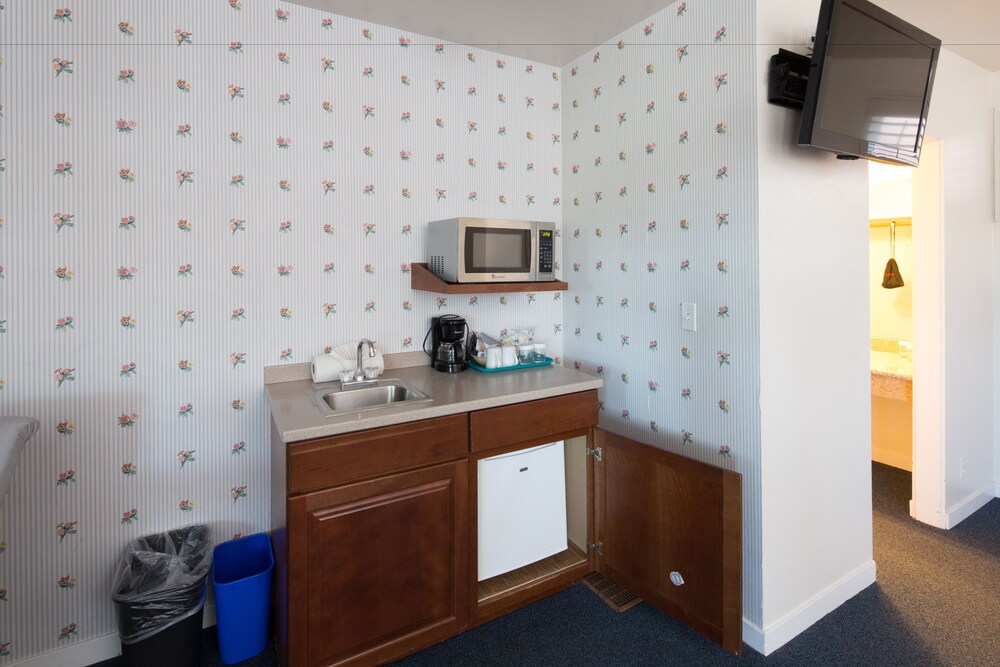 Mini-Refrigerator