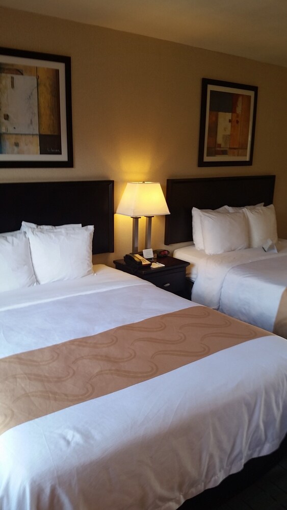 Guestroom View