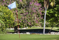 Golf Course King Guestroom