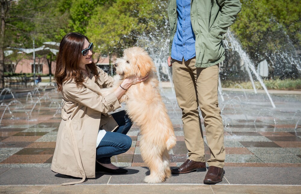 Pet-Friendly