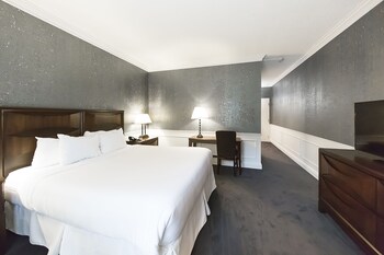 Guestroom View