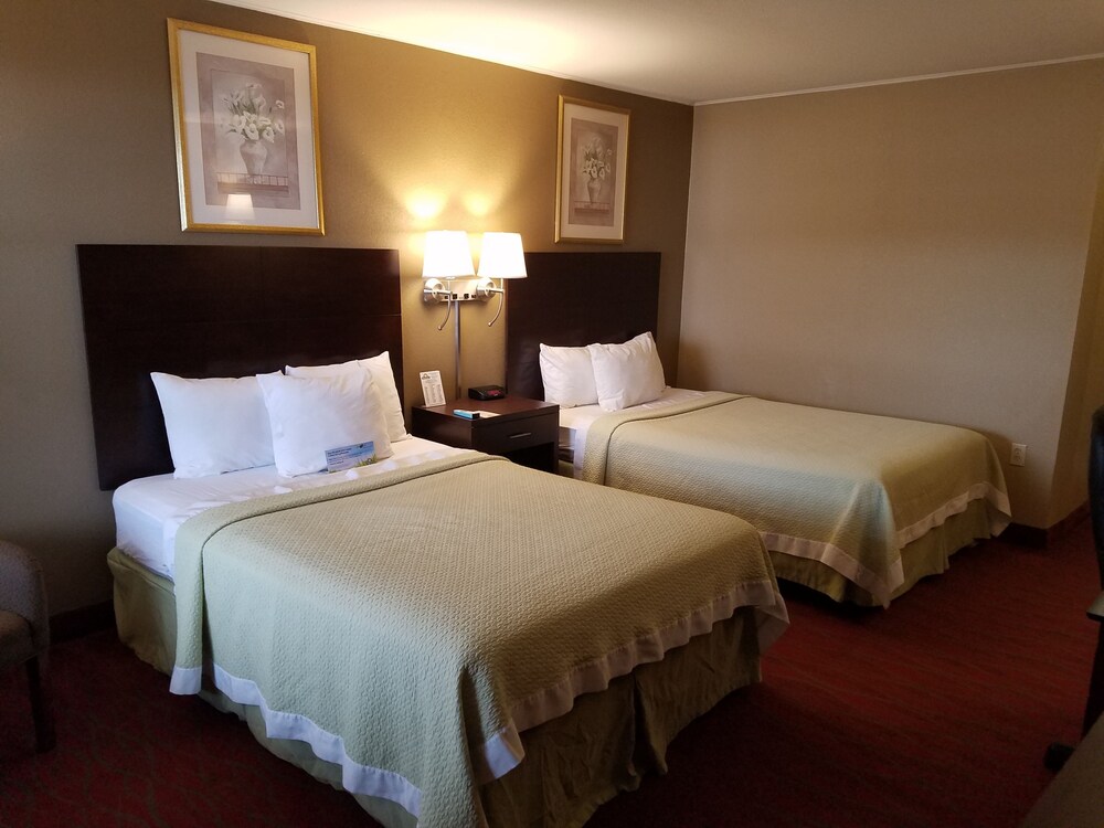 Guestroom View