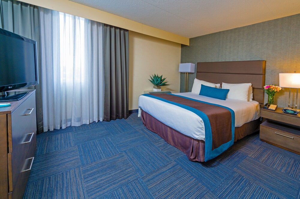 Guestroom View