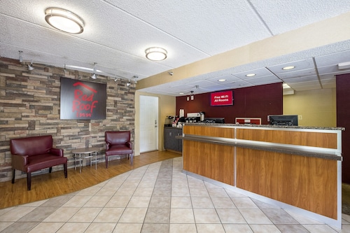 Red Roof Inn Tampa - Brandon
