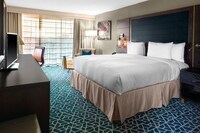 Room, 1 King Bed