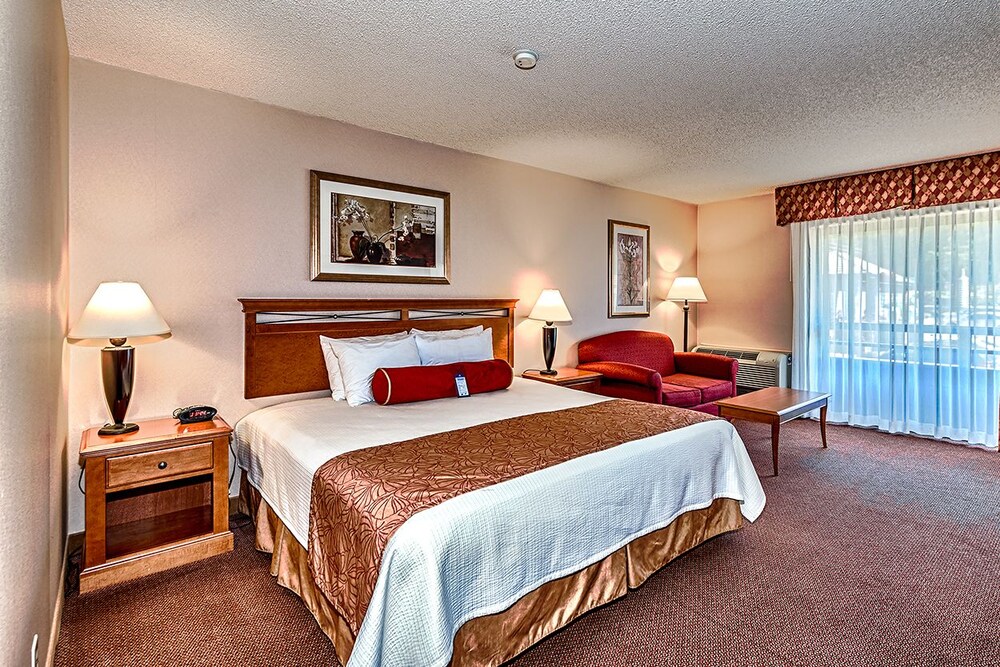 Guestroom View