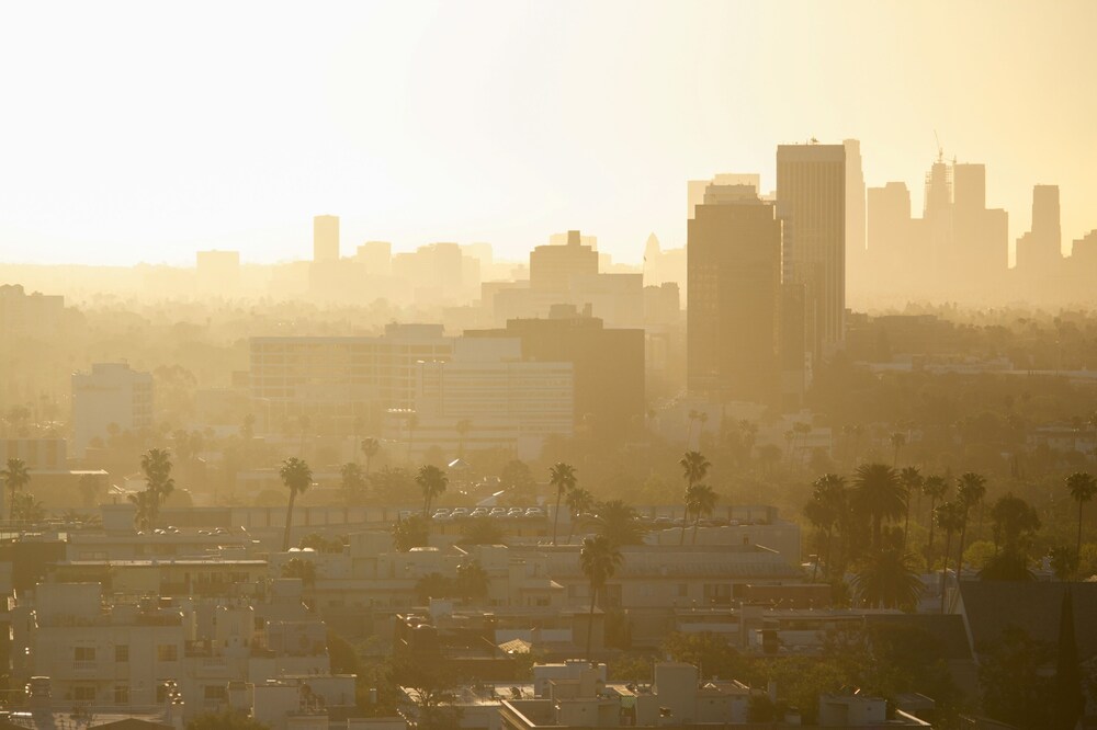 City View