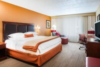 Suite, 1 Double Bed with Sofa bed