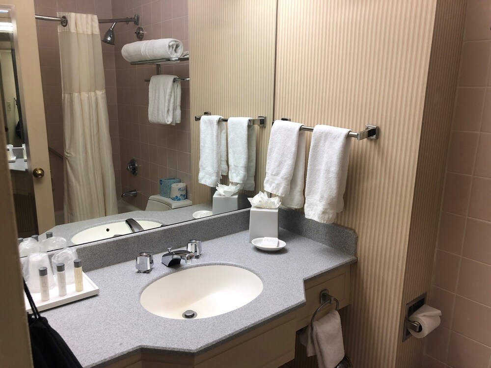 Bathroom, The Manhattan at Times Square Hotel