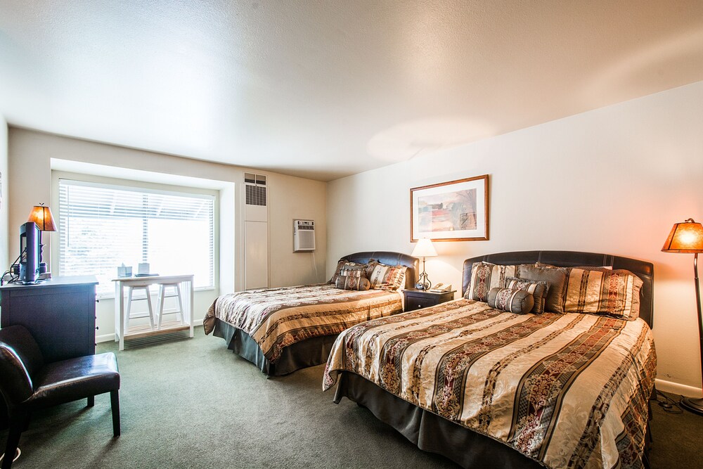 Standard Double Room - Guestroom