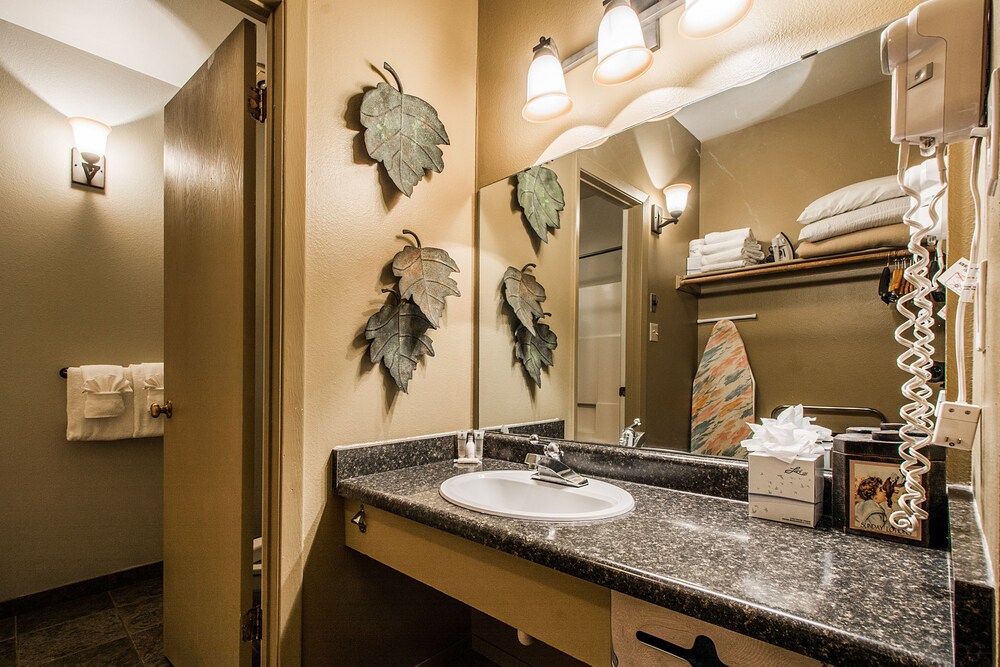 Standard Studio Suite - Guestroom