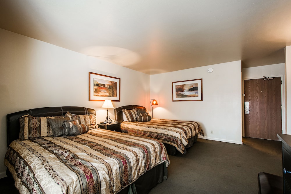 Standard Double Room - Guestroom