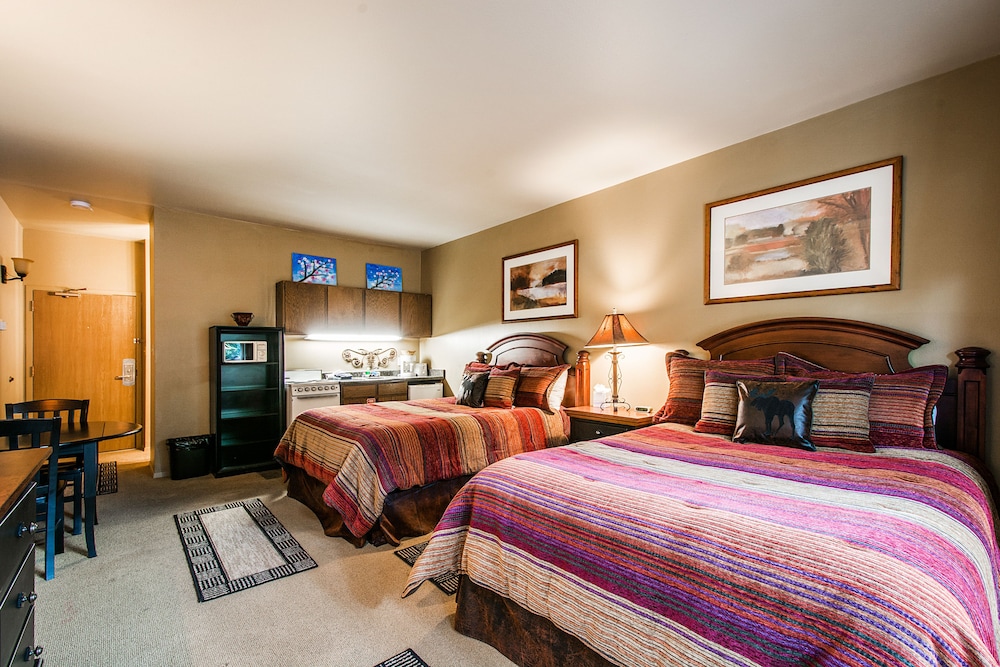 Standard Studio Suite - Guestroom