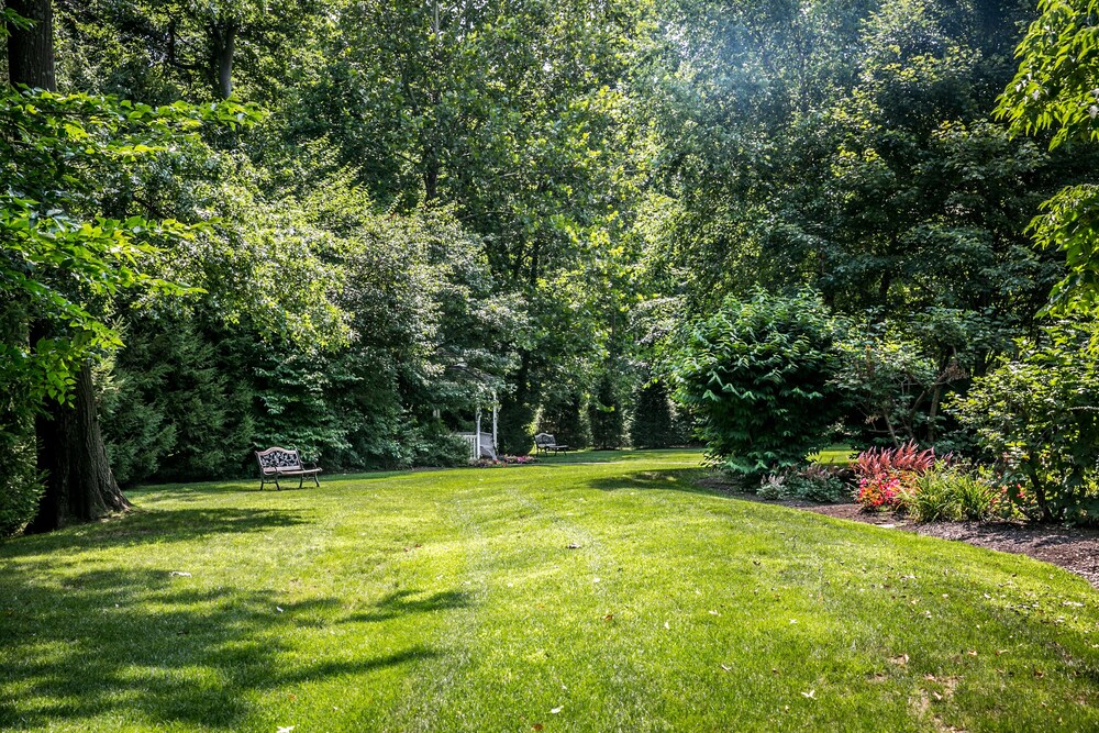 Outdoor Wedding Area