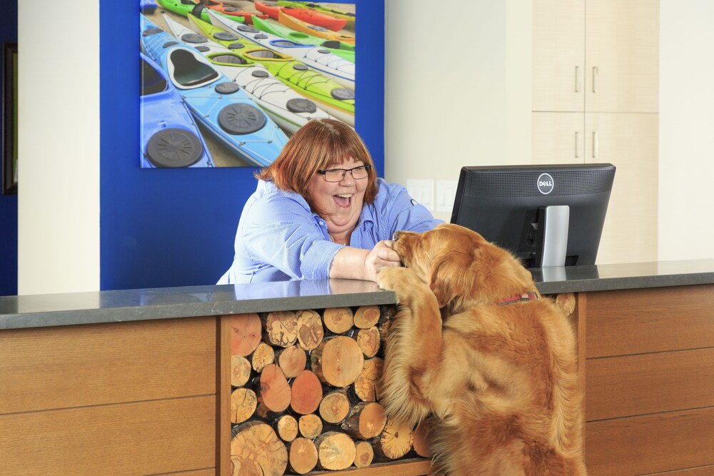 Pet-Friendly