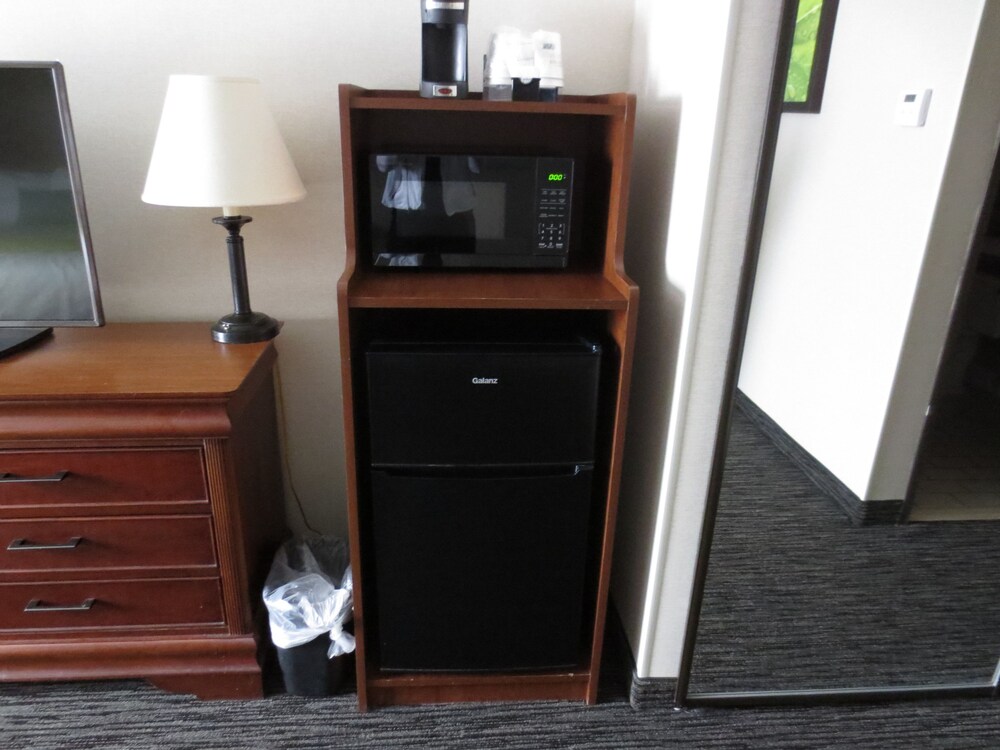 Mini-Refrigerator