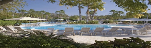 Saddlebrook Golf Resort and Spa