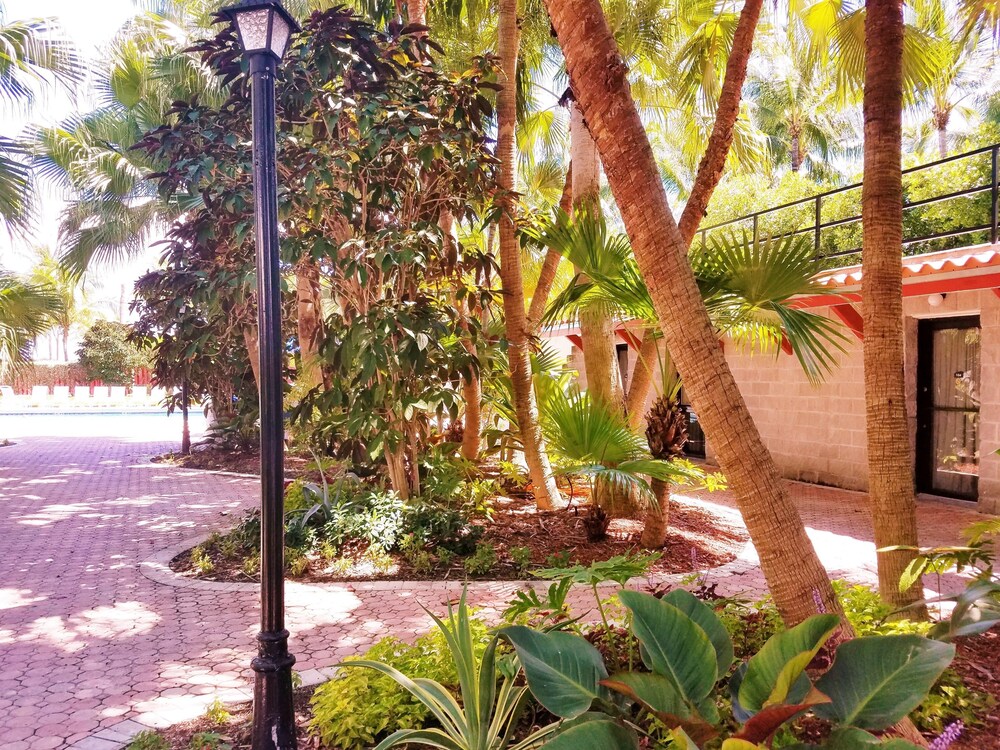 Guestroom View