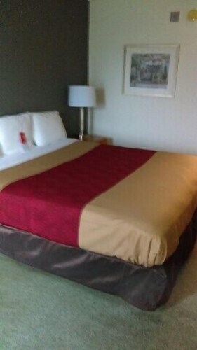 Guestroom View