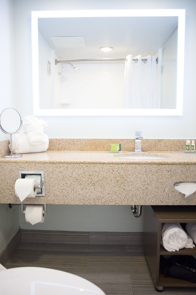 Bathroom, Radisson Hotel Grand Rapids Riverfront