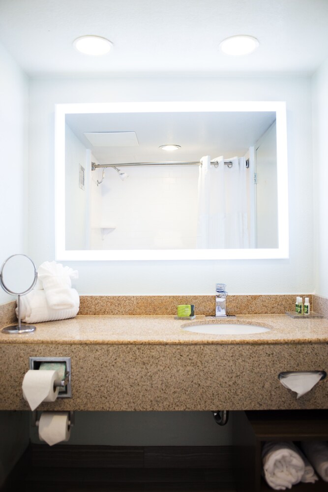 Bathroom, Radisson Hotel Grand Rapids Riverfront