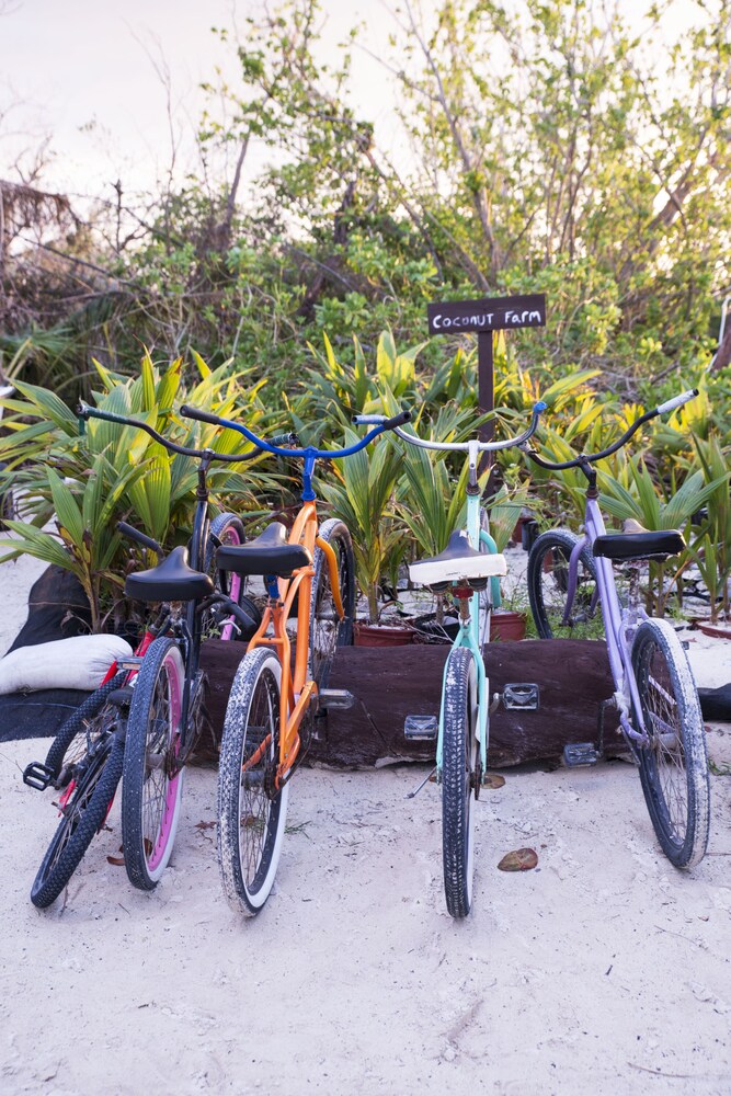 Bicycling