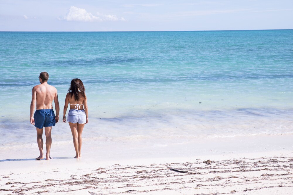 Beach/Ocean View
