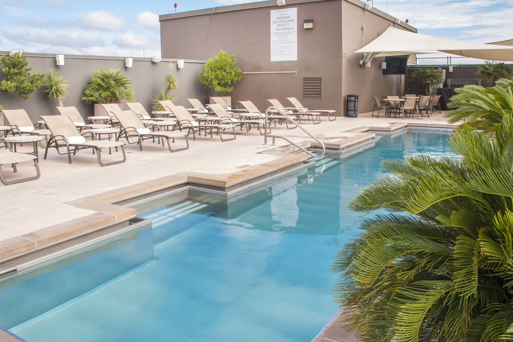Rooftop Pool
