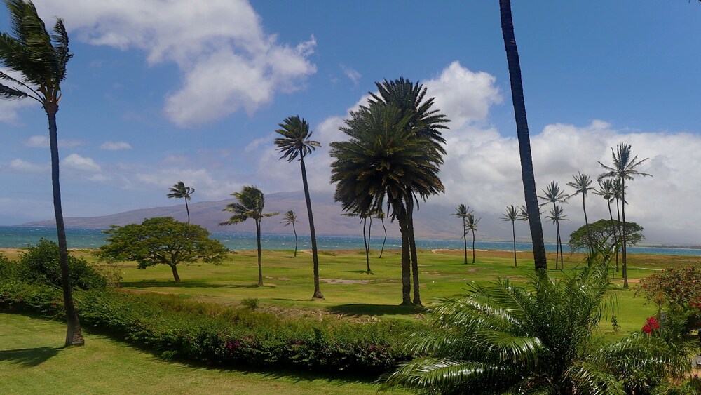 Condo, 1 Bedroom, Ocean View - Guestroom View